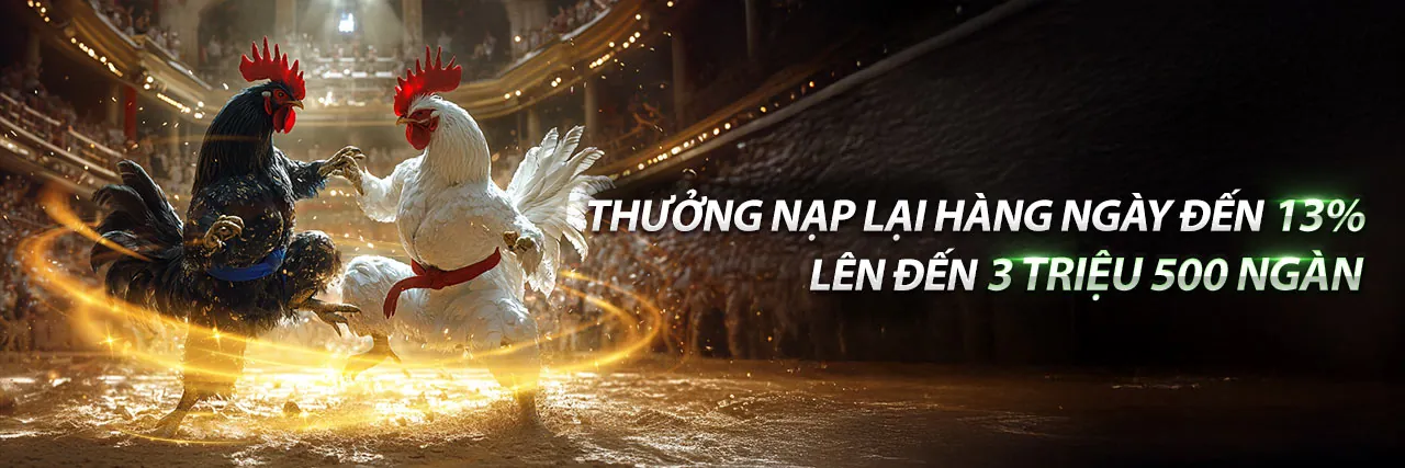 Hình ảnh đại diện cho Điều Khoản Dịch Vụ new88inh