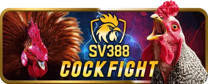 Tổng quan khuyến mãi new88inh